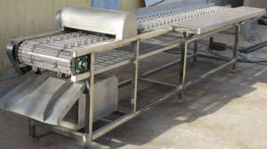 Chicken Slaughtering Machine: Chicken Claw Cutting Machine